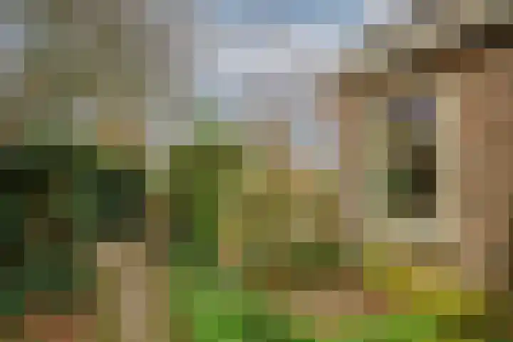Lekdijk 32 Ammerstol thumbnail 29