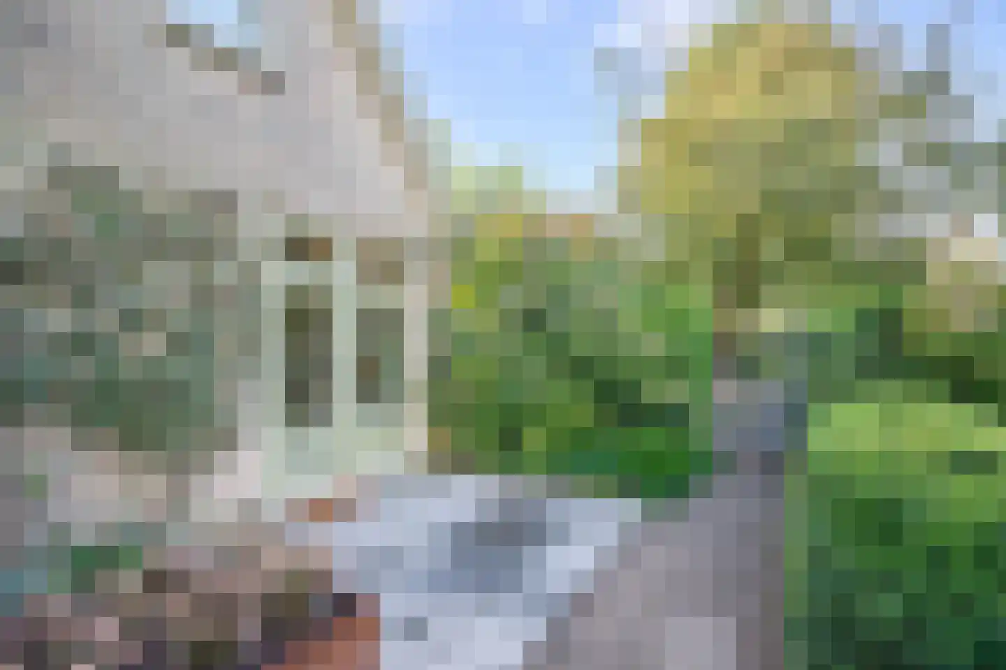 Lekdijk 32 Ammerstol thumbnail 29