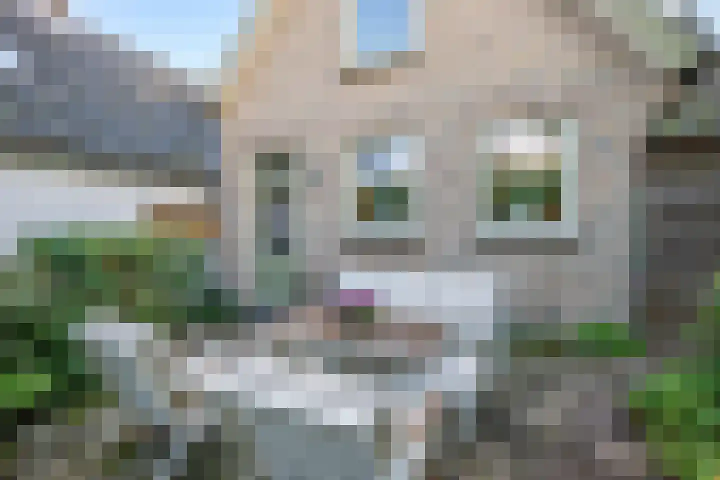 Lekdijk 32 Ammerstol thumbnail 31