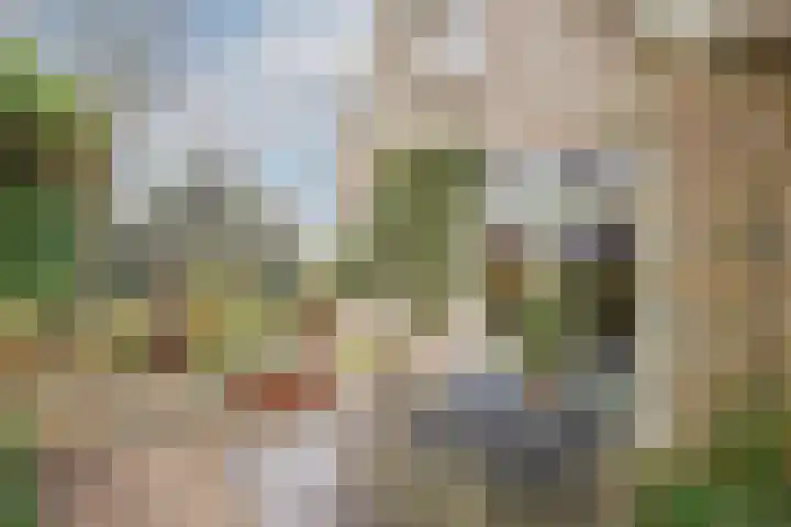 Lekdijk 32 Ammerstol thumbnail 31
