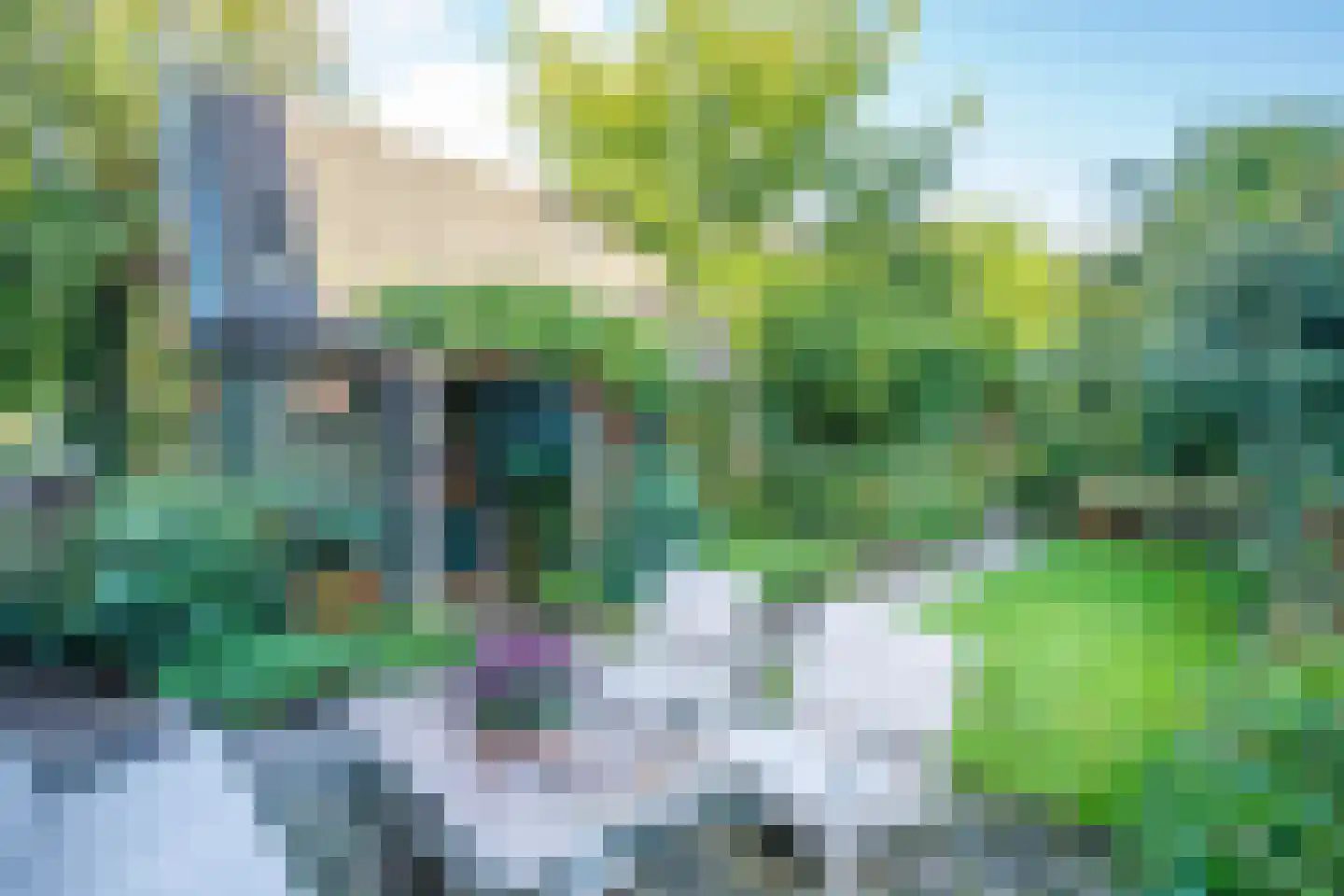Lekdijk 32 Ammerstol thumbnail 32