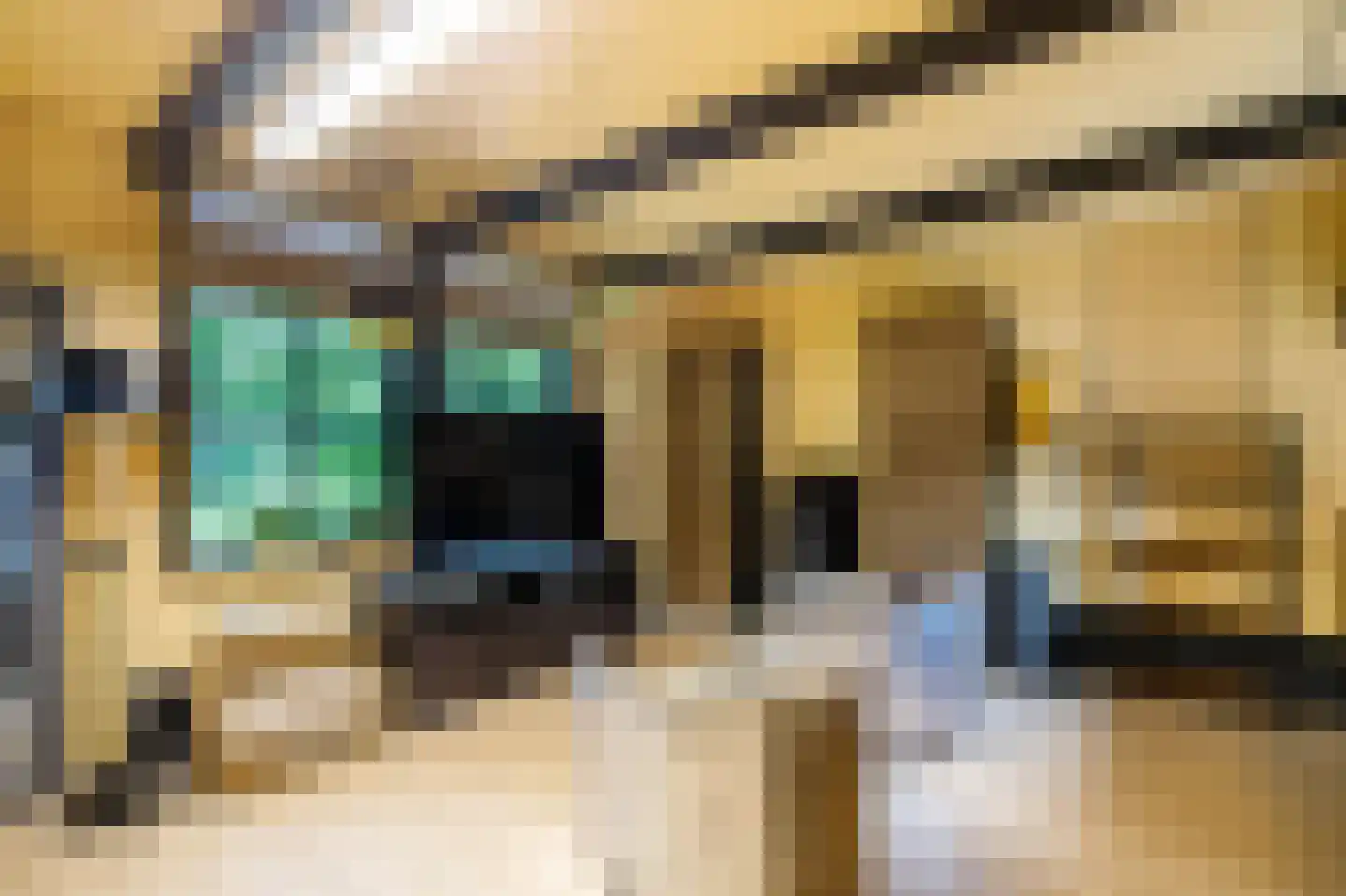 Lekdijk 32 Ammerstol thumbnail 33