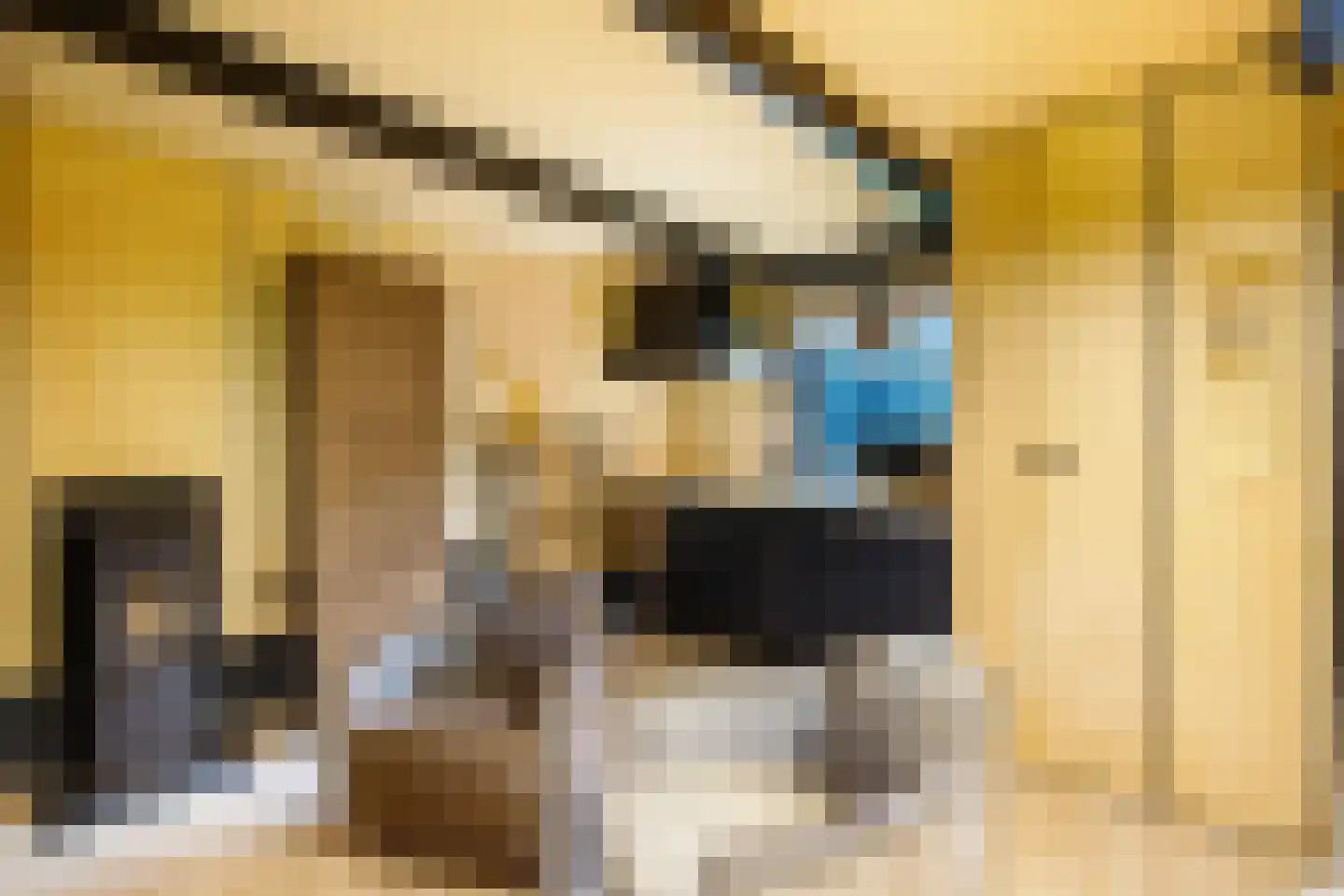 Lekdijk 32 Ammerstol thumbnail 34