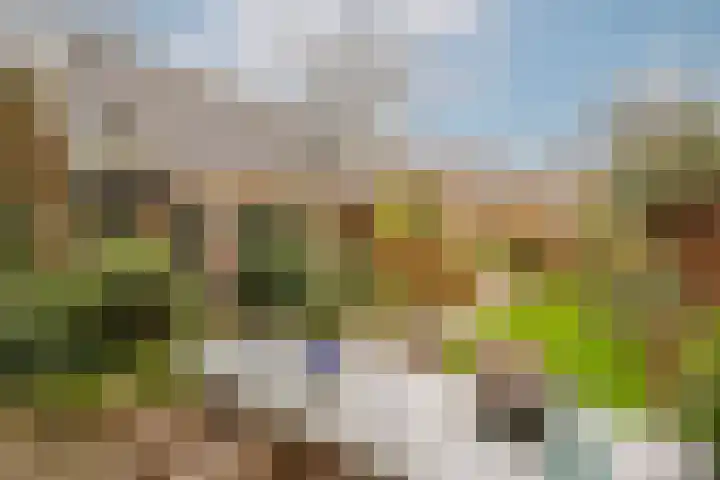 Lekdijk 32 Ammerstol thumbnail 34
