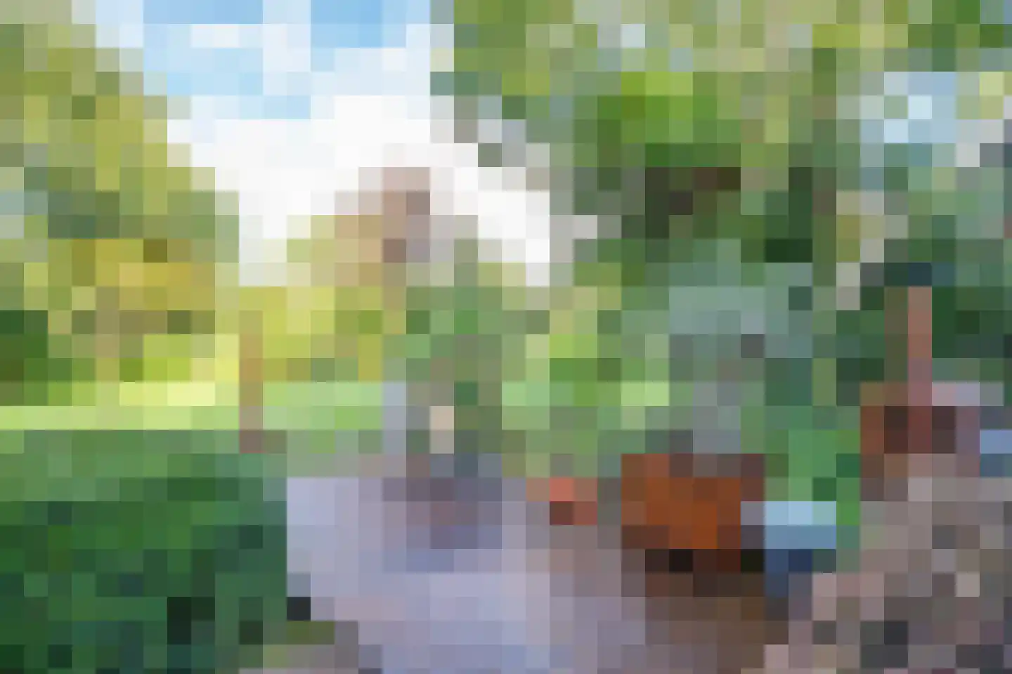 Lekdijk 32 Ammerstol thumbnail 38