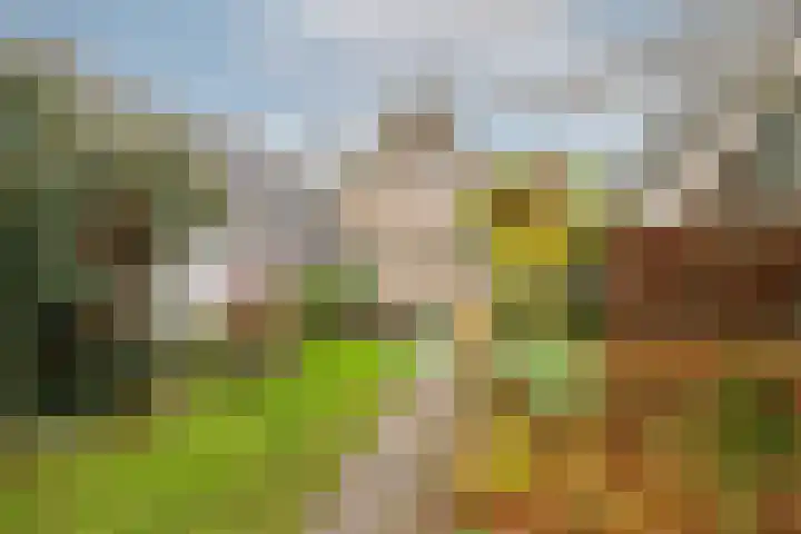 Lekdijk 32 Ammerstol thumbnail 39