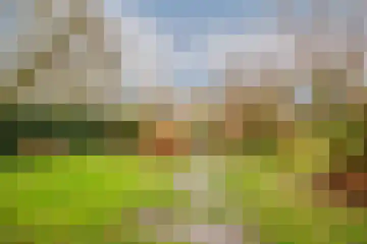 Lekdijk 32 Ammerstol thumbnail 40