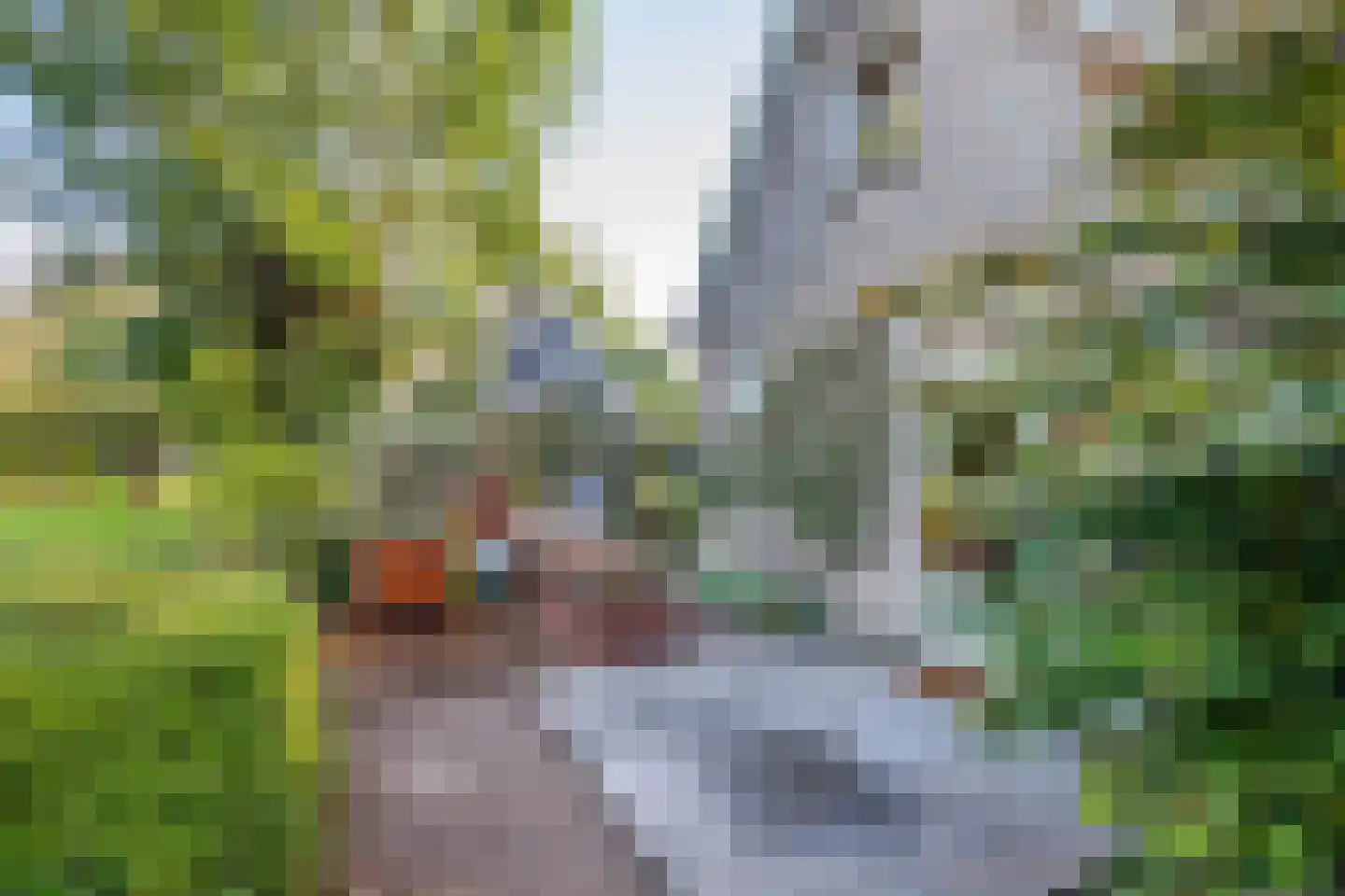 Lekdijk 32 Ammerstol thumbnail 40