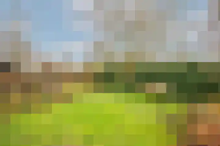 Lekdijk 32 Ammerstol thumbnail 41