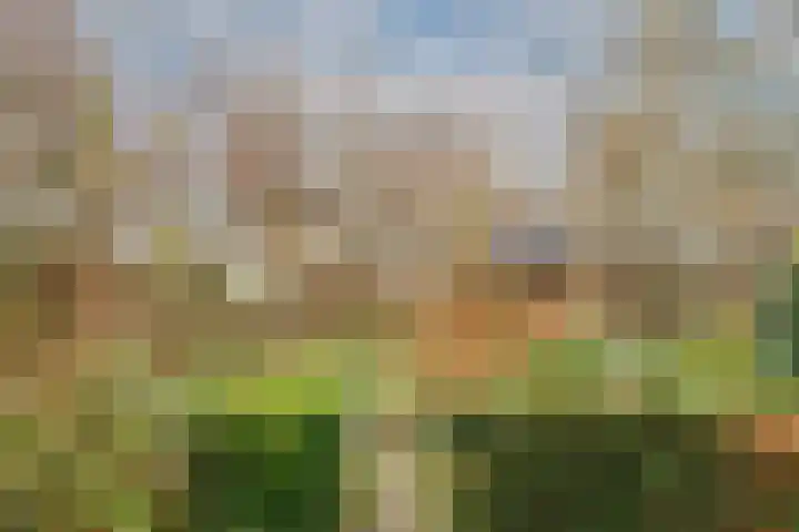 Lekdijk 32 Ammerstol thumbnail 42