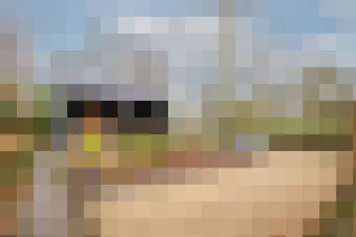 Lekdijk 32 Ammerstol thumbnail 43