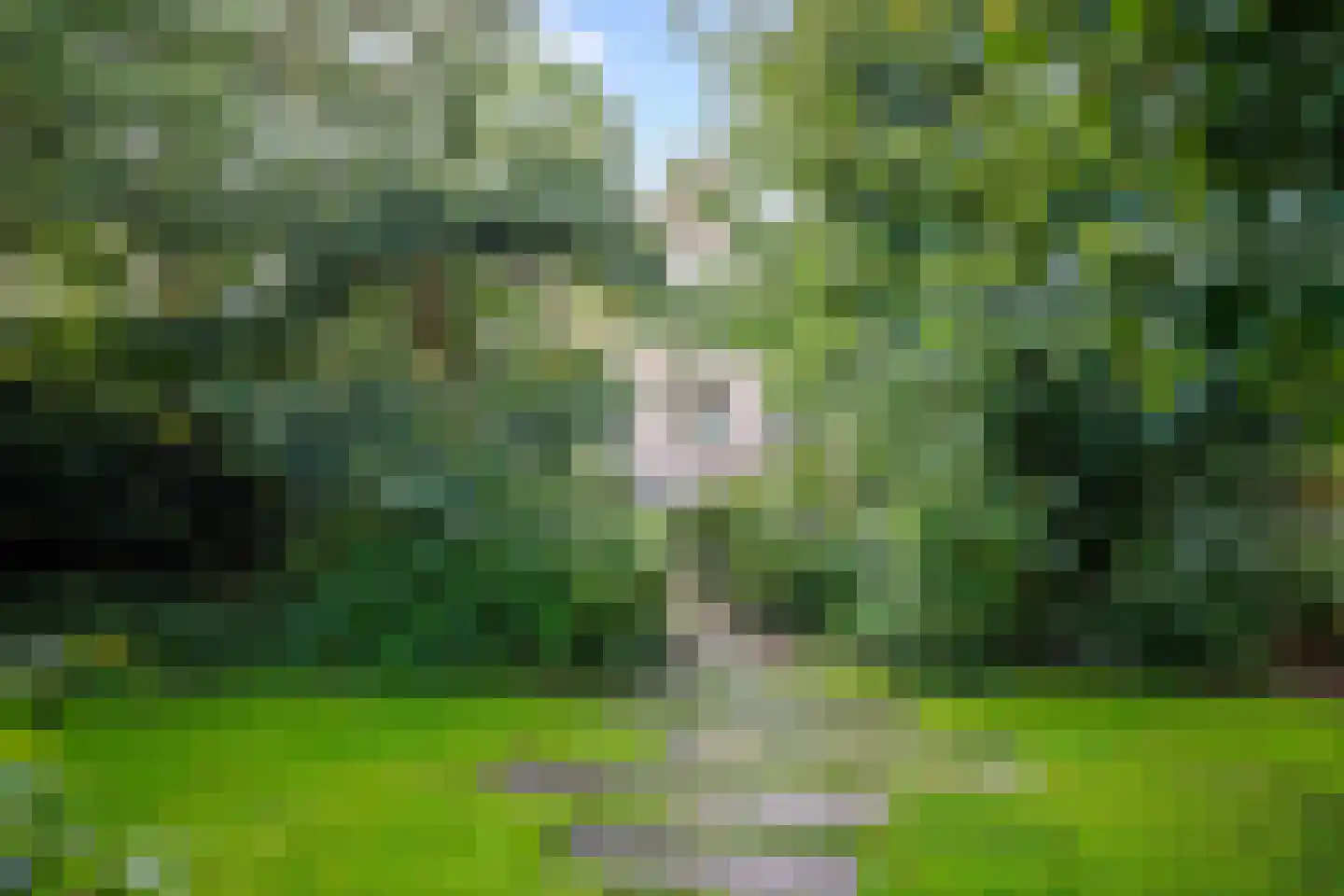 Lekdijk 32 Ammerstol thumbnail 44