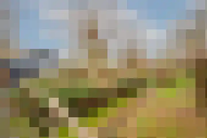 Lekdijk 32 Ammerstol thumbnail 45