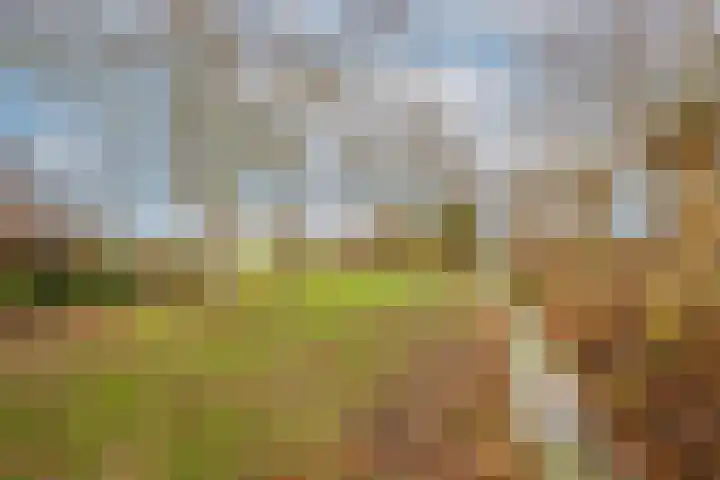 Lekdijk 32 Ammerstol thumbnail 47