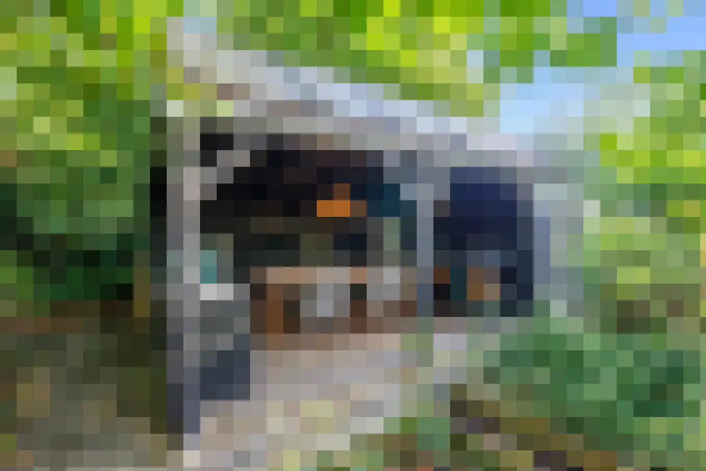Lekdijk 32 Ammerstol thumbnail 48