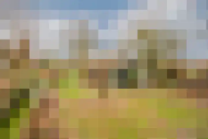 Lekdijk 32 Ammerstol thumbnail 48
