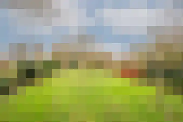 Lekdijk 32 Ammerstol thumbnail 49