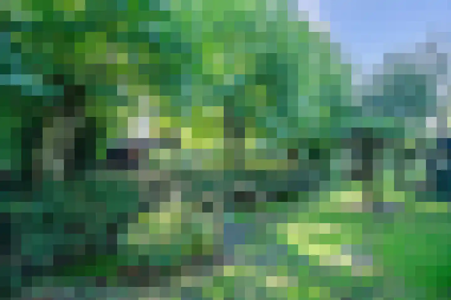 Lekdijk 32 Ammerstol thumbnail 49