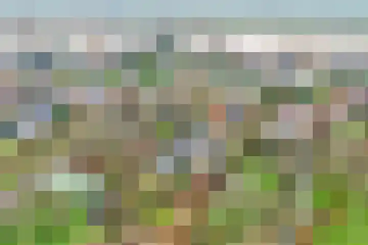 Lekdijk 32 Ammerstol thumbnail 5