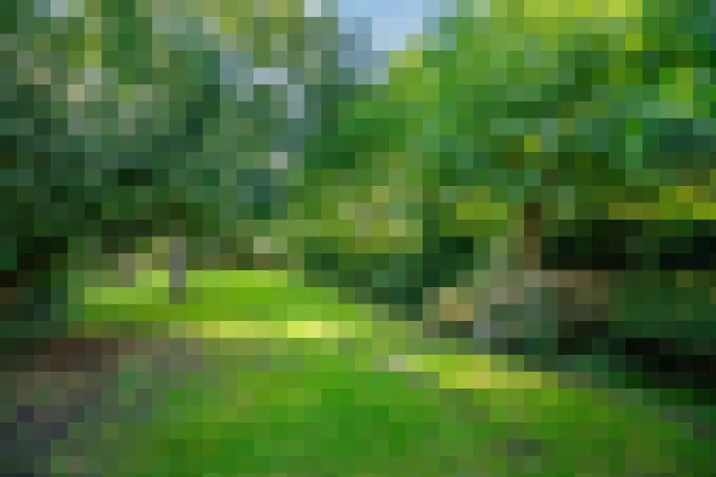Lekdijk 32 Ammerstol thumbnail 50