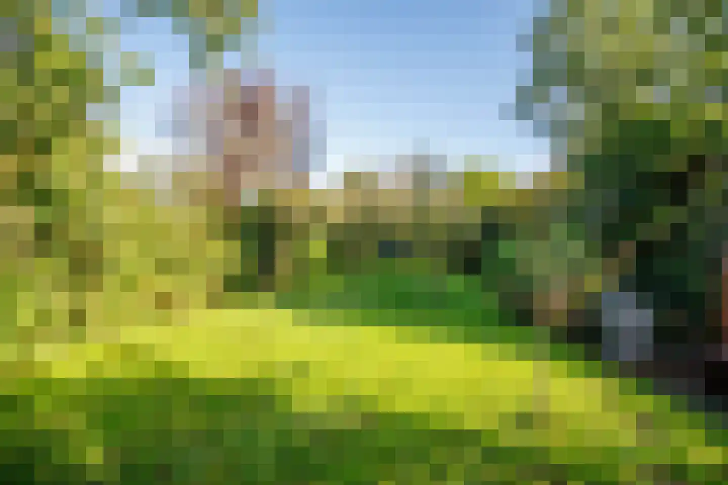 Lekdijk 32 Ammerstol thumbnail 53