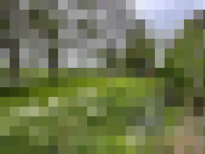 Lekdijk 32 Ammerstol thumbnail 53