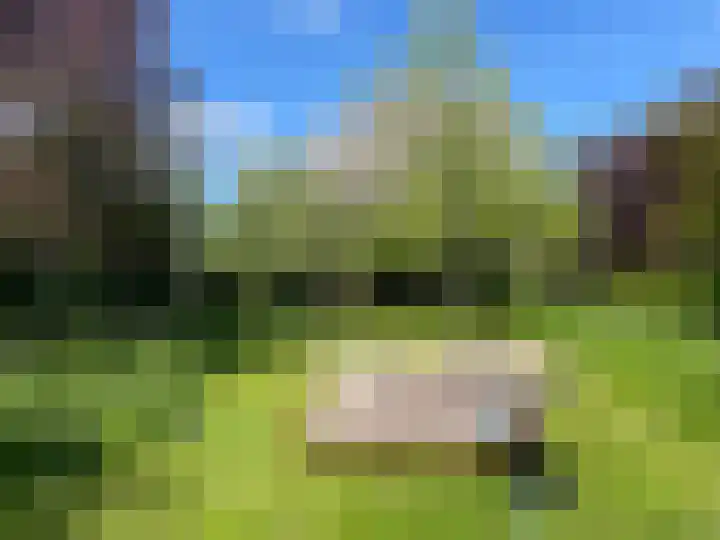 Lekdijk 32 Ammerstol thumbnail 54