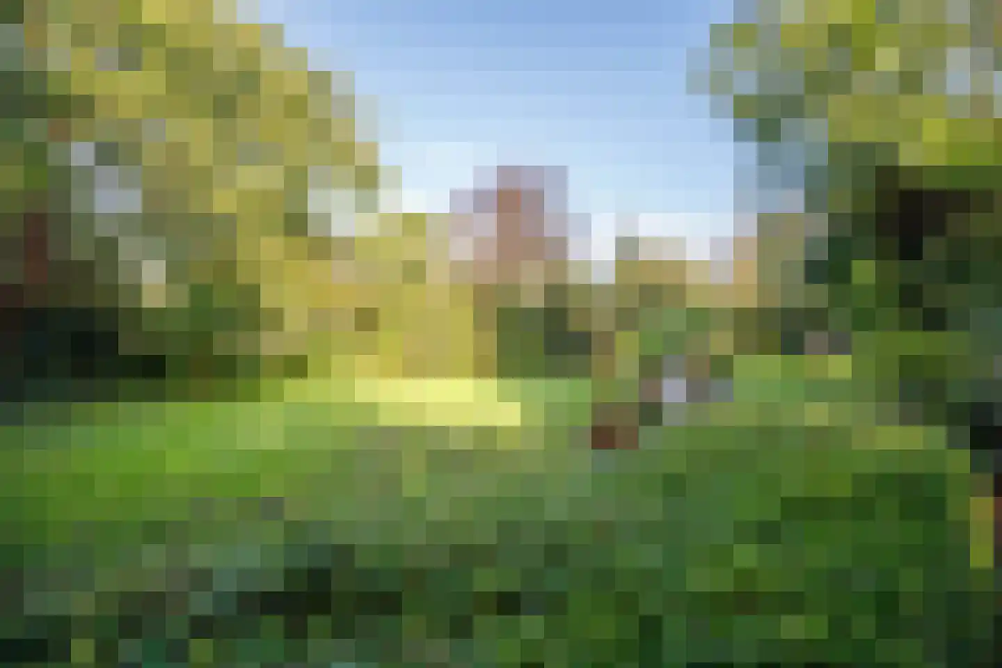 Lekdijk 32 Ammerstol thumbnail 54