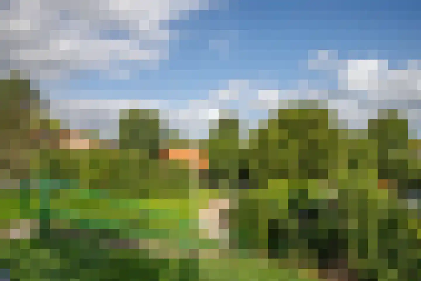 Lekdijk 32 Ammerstol thumbnail 56