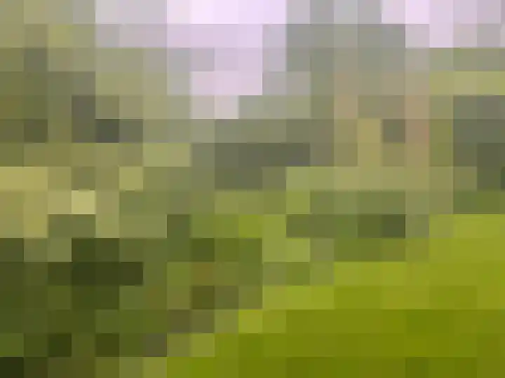 Lekdijk 32 Ammerstol thumbnail 56
