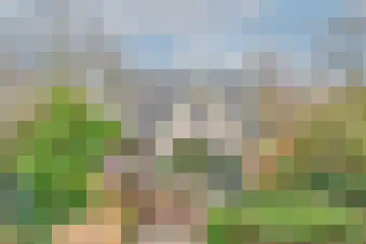 Lekdijk 32 Ammerstol thumbnail 6