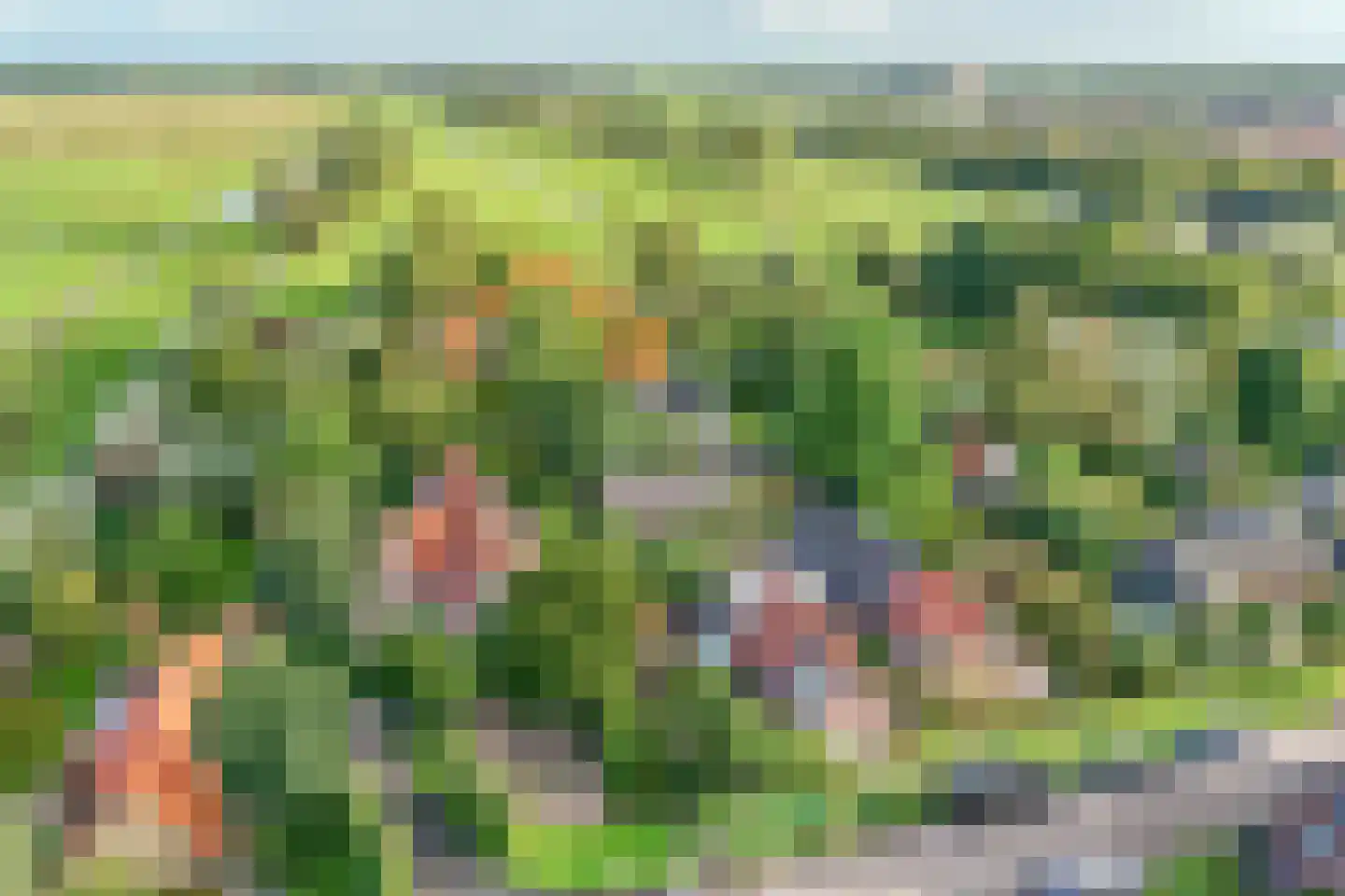 Lekdijk 32 Ammerstol thumbnail 61