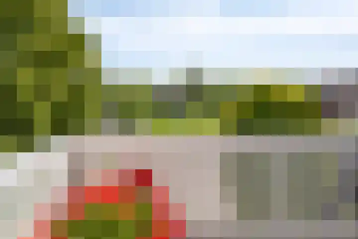 Lekdijk 323 Nieuw-Lekkerland thumbnail 12