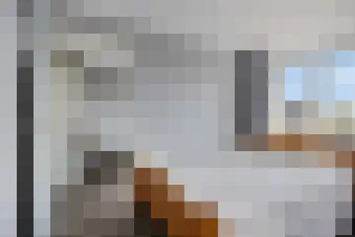 Lekdijk 323 Nieuw-Lekkerland thumbnail 20