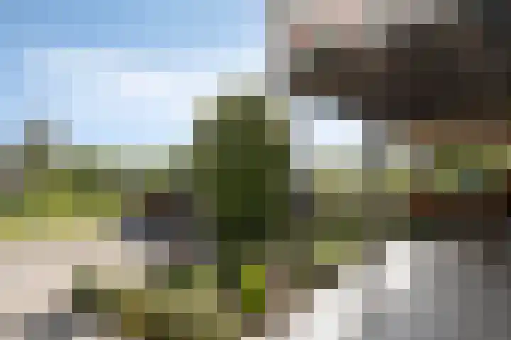 Lekdijk 323 Nieuw-Lekkerland thumbnail 27