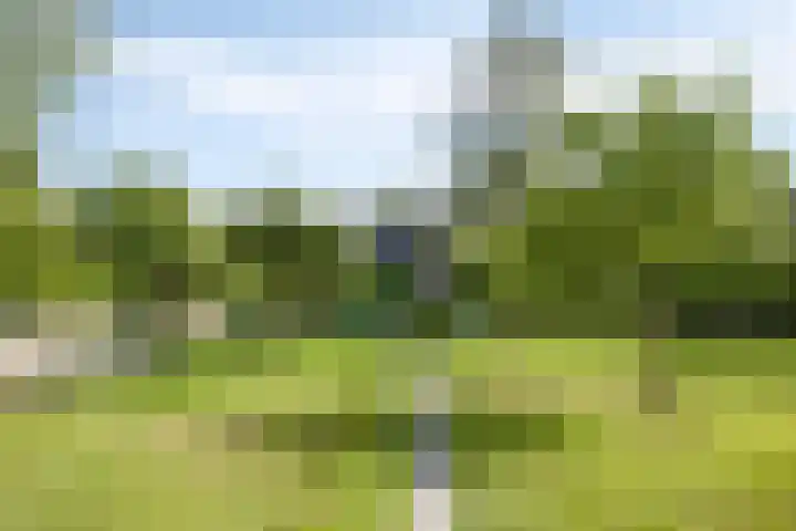 Lekdijk 323 Nieuw-Lekkerland thumbnail 29