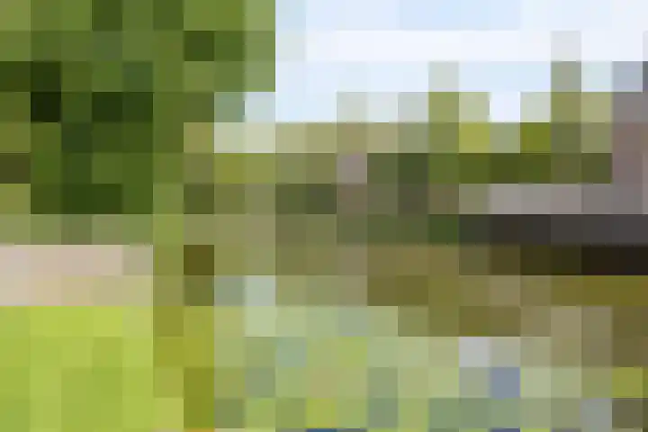 Lekdijk 323 Nieuw-Lekkerland thumbnail 30