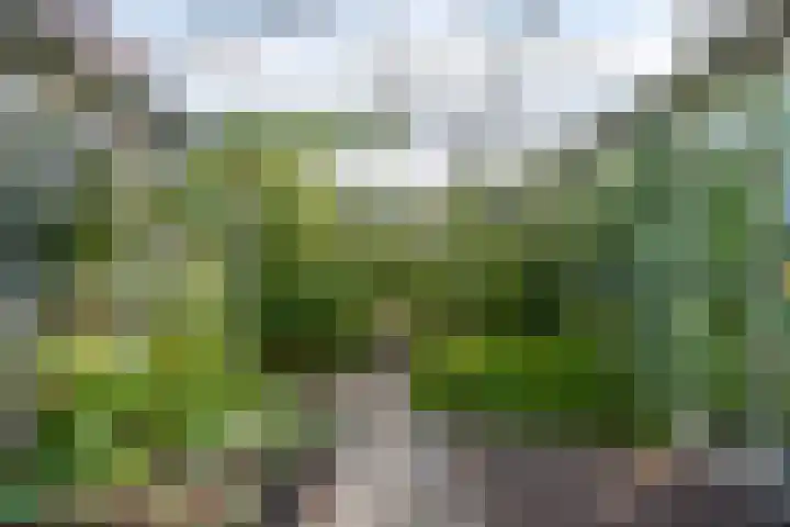 Lekdijk 323 Nieuw-Lekkerland thumbnail 35