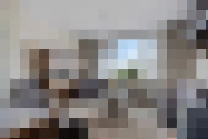 Lekdijk 323 Nieuw-Lekkerland thumbnail 5