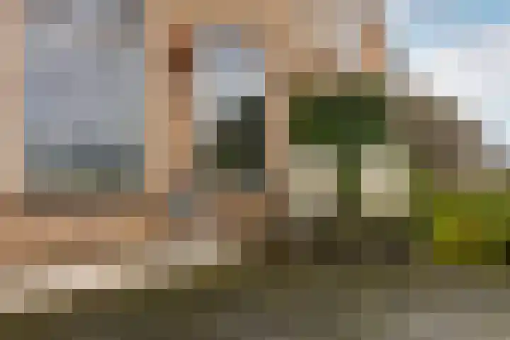 Lekdijk 33 Ameide thumbnail 47