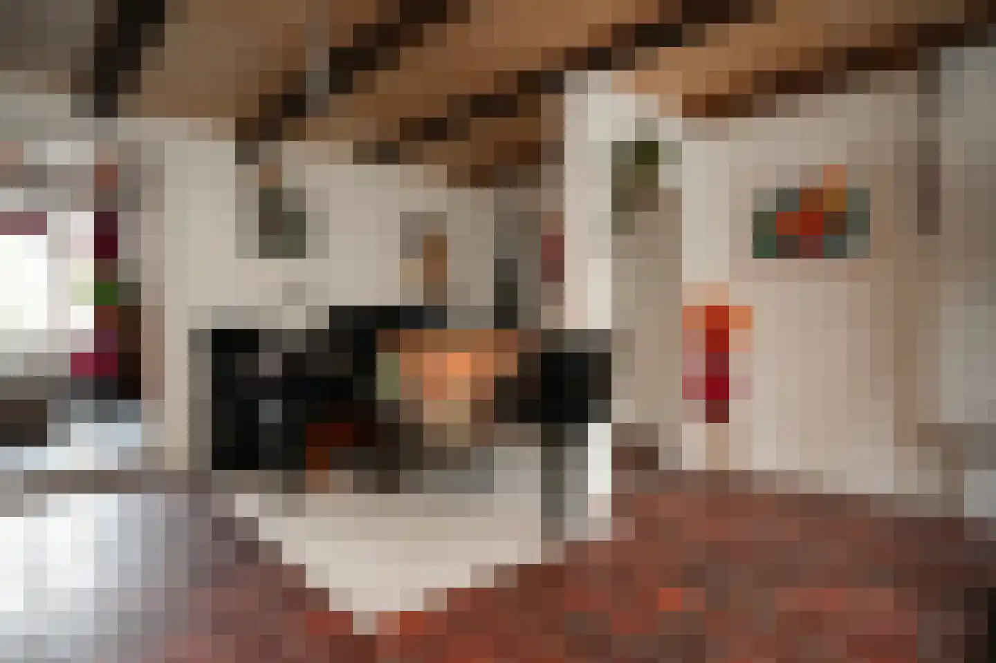 Lekdijk 33 Everdingen thumbnail 14