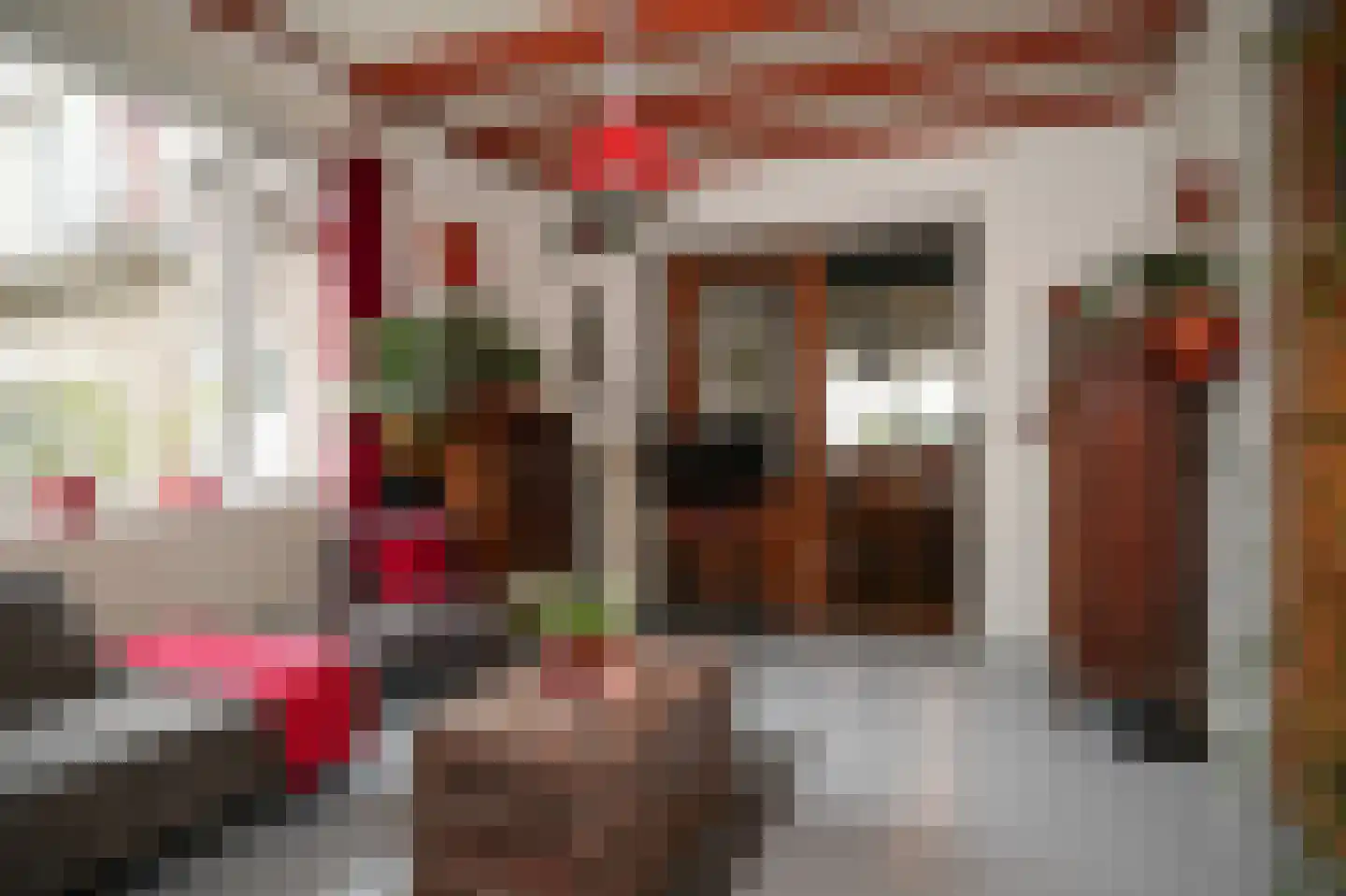 Lekdijk 33 Everdingen thumbnail 15