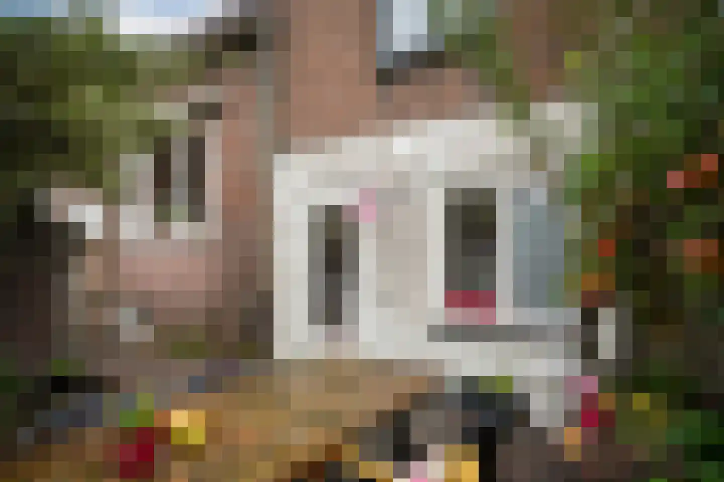 Lekdijk 33 Everdingen thumbnail 33