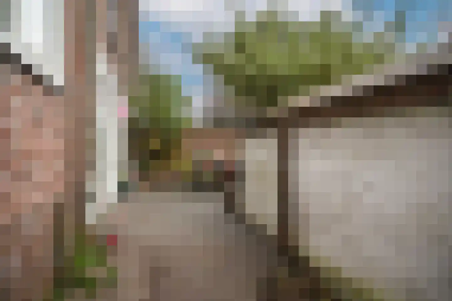 Lekdijk 33 Everdingen thumbnail 35