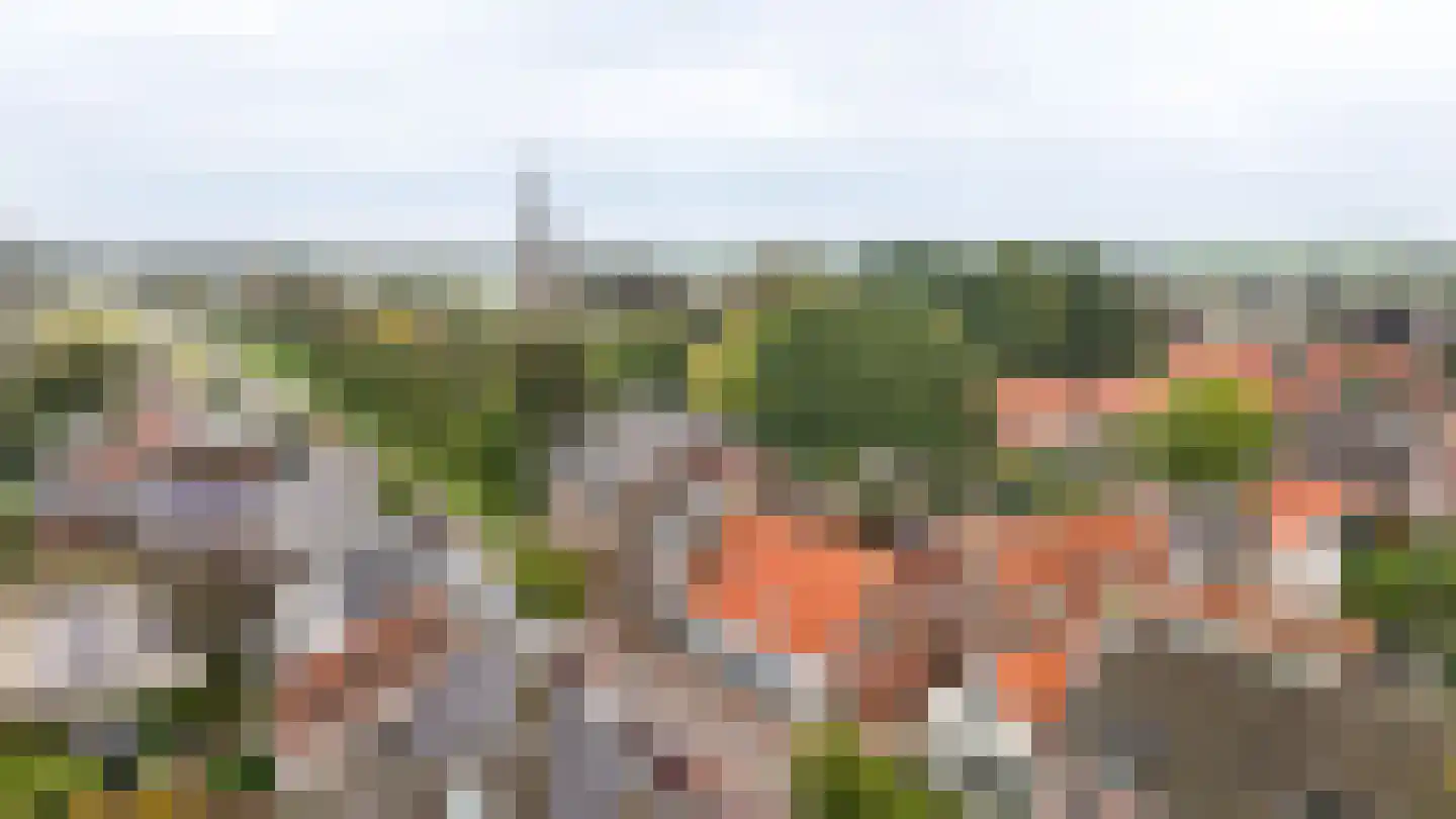 Lekdijk 33 Everdingen thumbnail 37
