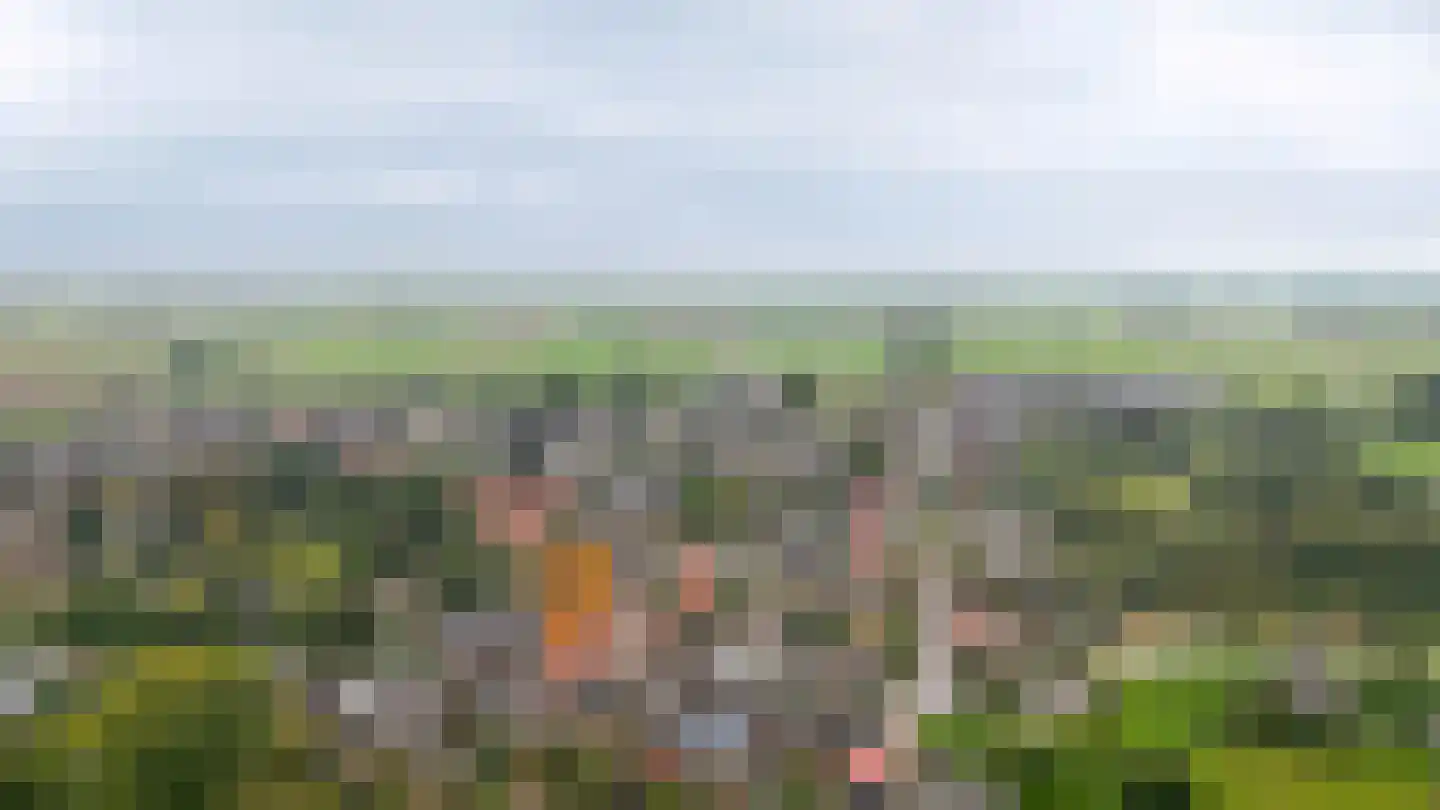 Lekdijk 33 Everdingen thumbnail 39