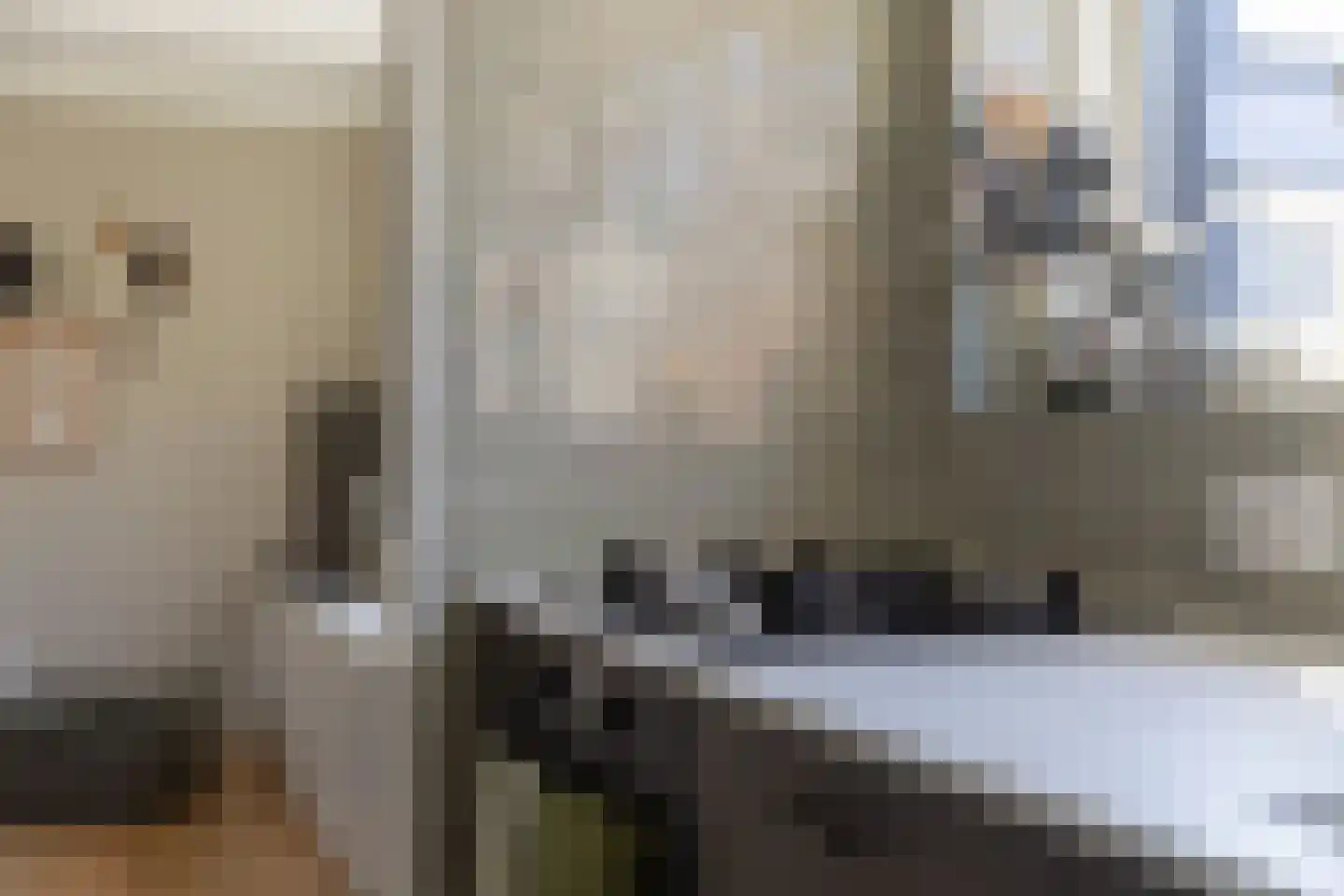 Lekdijk 360 Nieuw-Lekkerland thumbnail 14