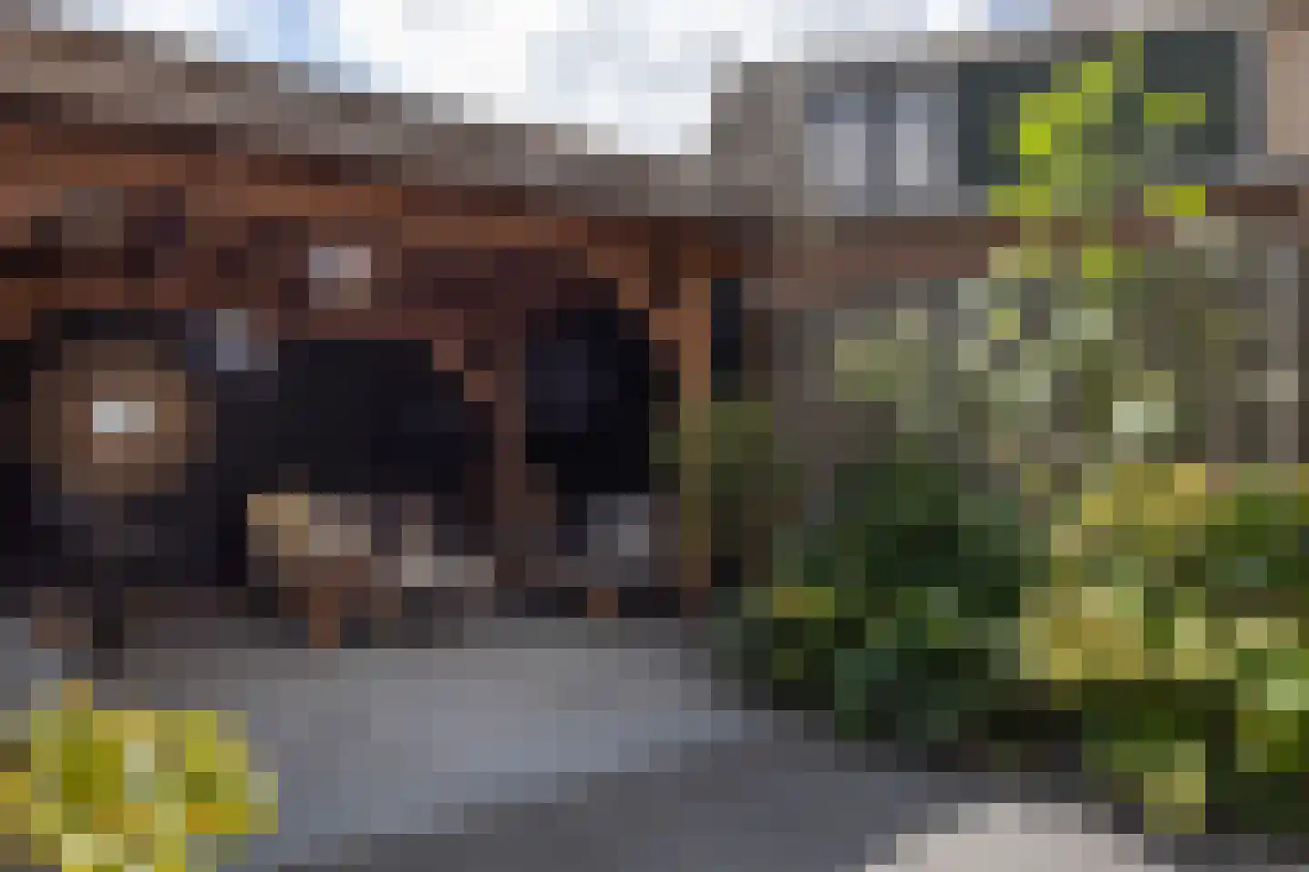 Lekdijk 360 Nieuw-Lekkerland thumbnail 30