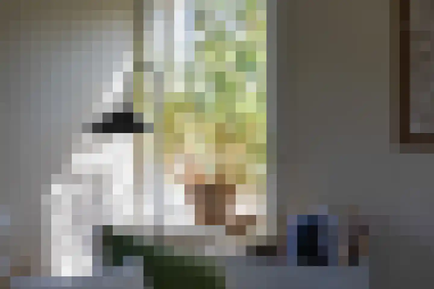 Lekdijk 360 Nieuw-Lekkerland thumbnail 4