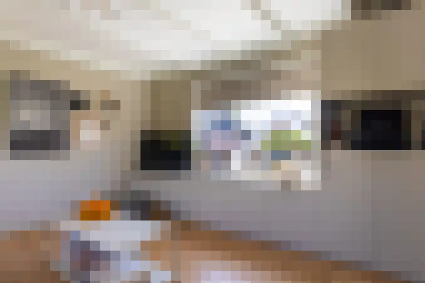 Lekdijk 360 Nieuw-Lekkerland thumbnail 5